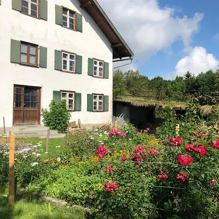 Allgäuliebe In *