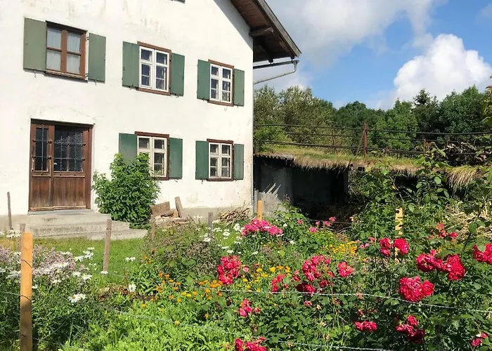 Allgäuliebe In *